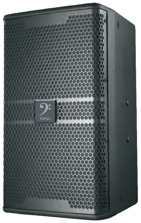 T10A loudspeaker